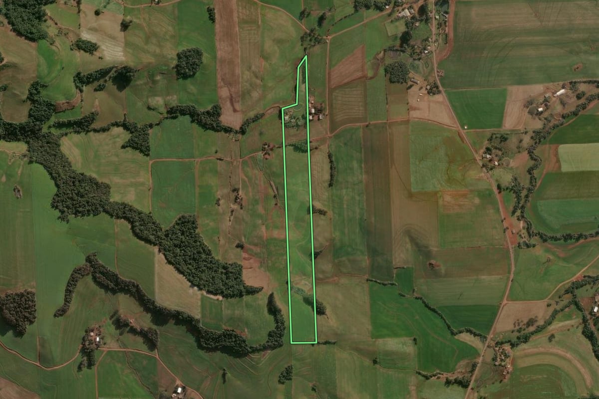 Imagem de satélite do imóvel rural em Cruzaltense (RS), com o contorno declarado no CAR desenhado por cima.