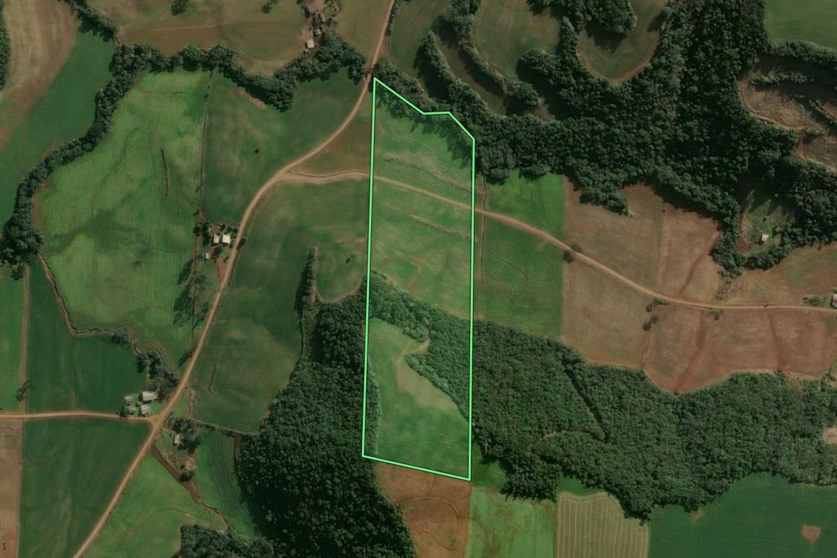 Imagem de satélite do imóvel rural em Cruzaltense (RS), com o contorno declarado no CAR desenhado por cima.