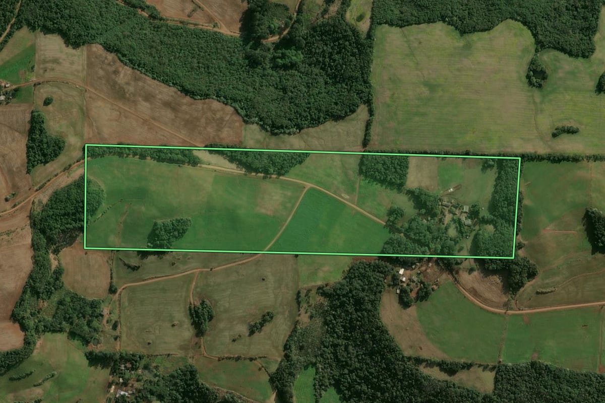 Imagem de satélite do imóvel rural em Cruzaltense (RS), com o contorno declarado no CAR desenhado por cima.