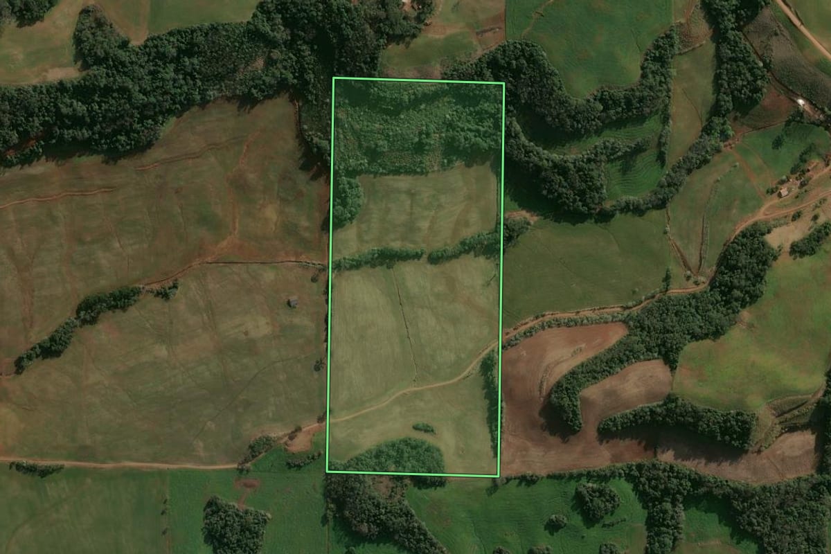 Imagem de satélite do imóvel rural em Cruzaltense (RS), com o contorno declarado no CAR desenhado por cima.