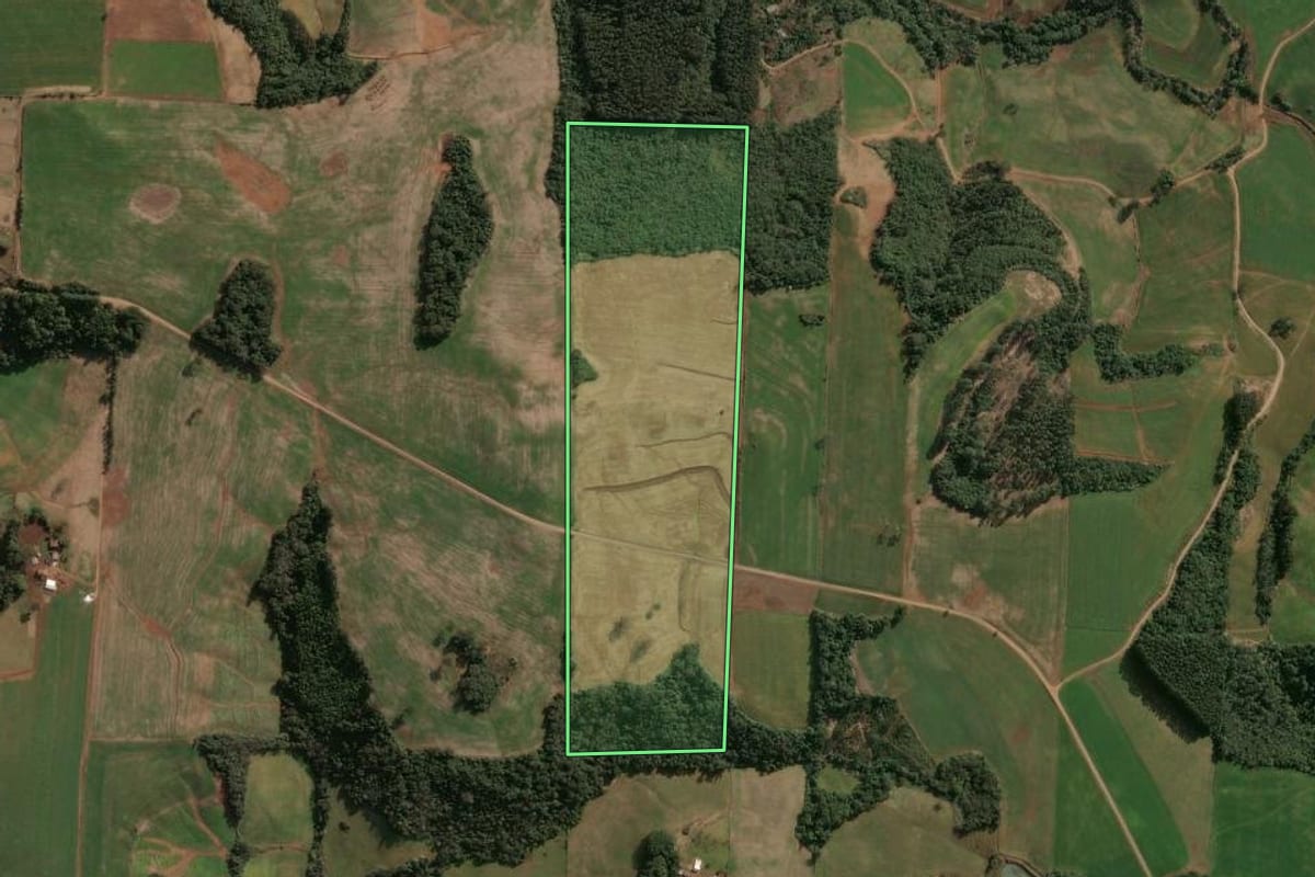 Imagem de satélite do imóvel rural em Cruzaltense (RS), com o contorno declarado no CAR desenhado por cima.