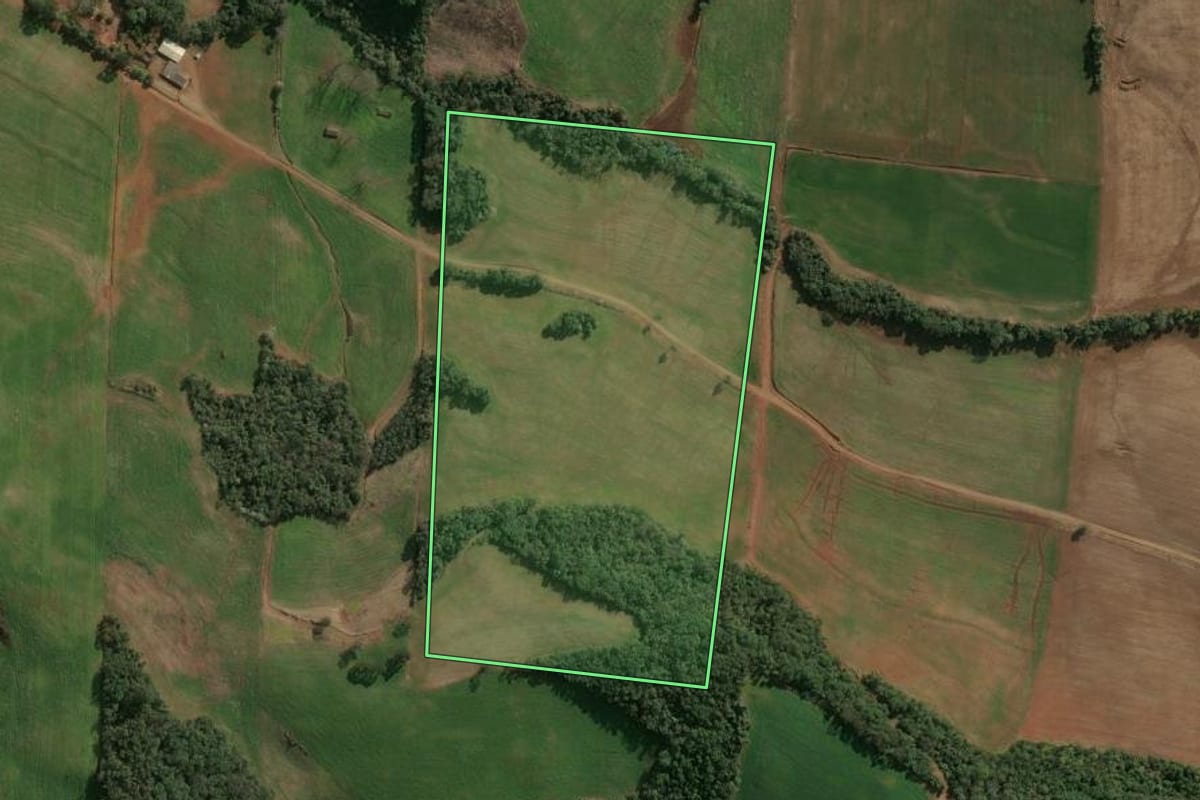 Imagem de satélite do imóvel rural em Cruzaltense (RS), com o contorno declarado no CAR desenhado por cima.