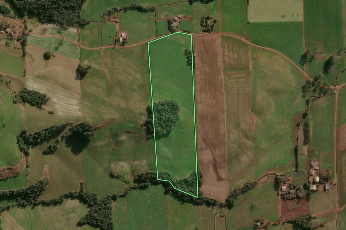 Imagem de satélite do imóvel rural em Cruzaltense (RS), com o contorno declarado no CAR desenhado por cima.