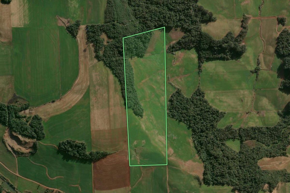 Imagem de satélite do imóvel rural em Cruzaltense (RS), com o contorno declarado no CAR desenhado por cima.