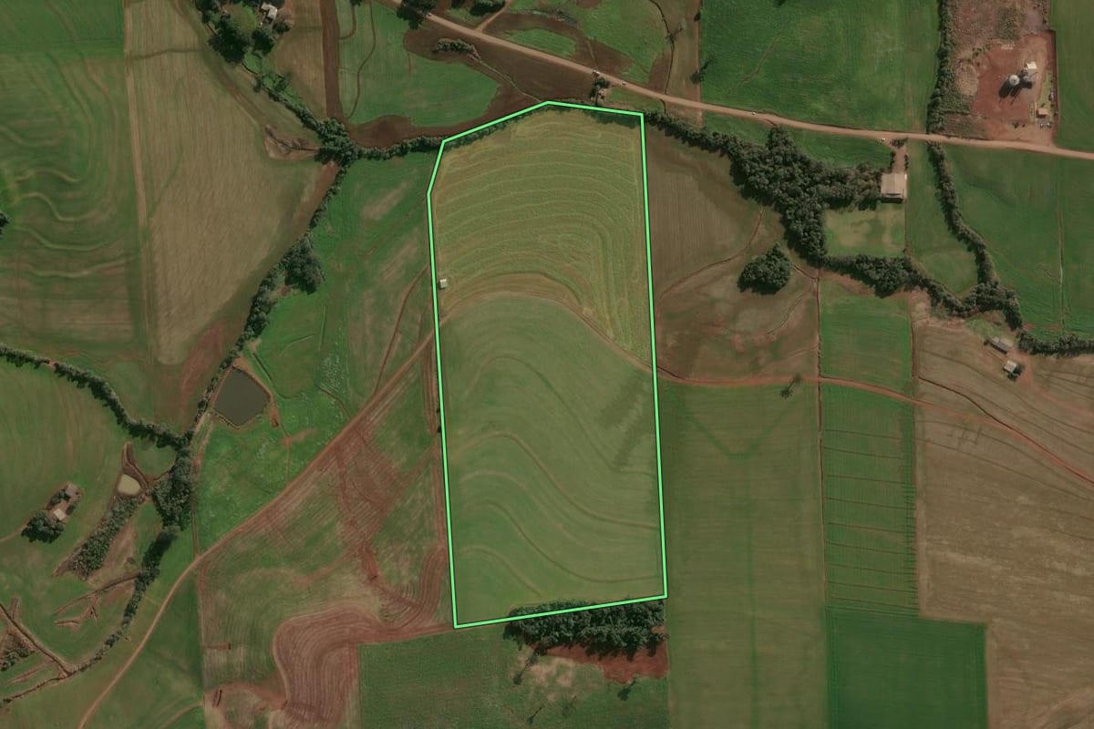 Imagem de satélite do imóvel rural em Cruzaltense (RS), com o contorno declarado no CAR desenhado por cima.