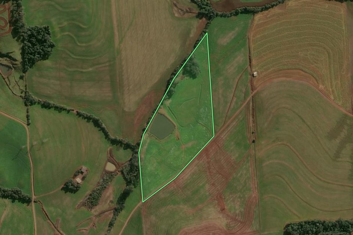 Imagem de satélite do imóvel rural em Cruzaltense (RS), com o contorno declarado no CAR desenhado por cima.