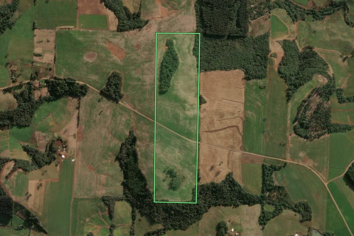 Imagem de satélite do imóvel rural em Cruzaltense (RS), com o contorno declarado no CAR desenhado por cima.
