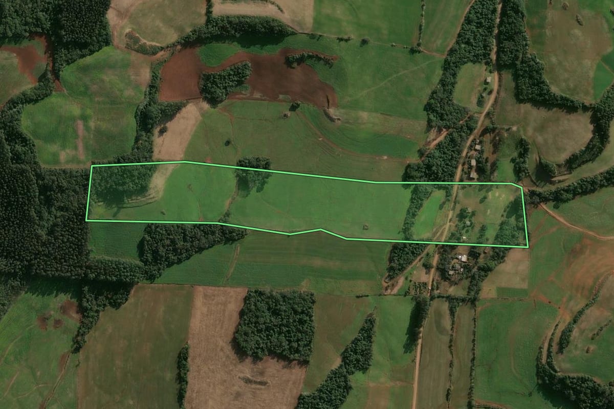 Imagem de satélite do imóvel rural em Cruzaltense (RS), com o contorno declarado no CAR desenhado por cima.