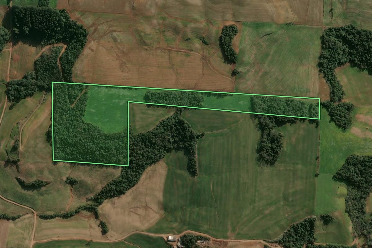 Imagem de satélite do imóvel rural em Cruzaltense (RS), com o contorno declarado no CAR desenhado por cima.