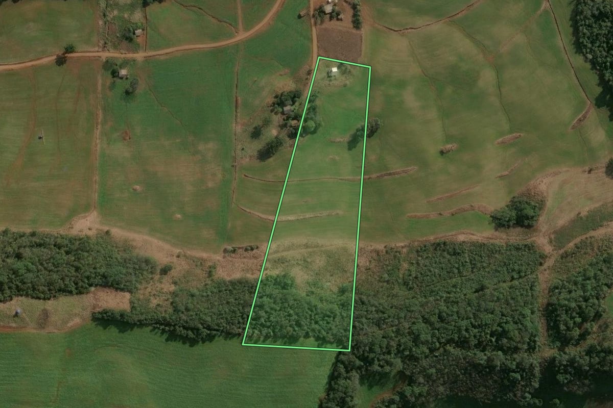 Imagem de satélite do imóvel rural em Cruzaltense (RS), com o contorno declarado no CAR desenhado por cima.