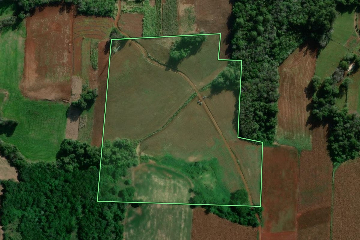 Imagem de satélite do imóvel rural em Cruzeiro do Sul (RS), com o contorno declarado no CAR desenhado por cima.