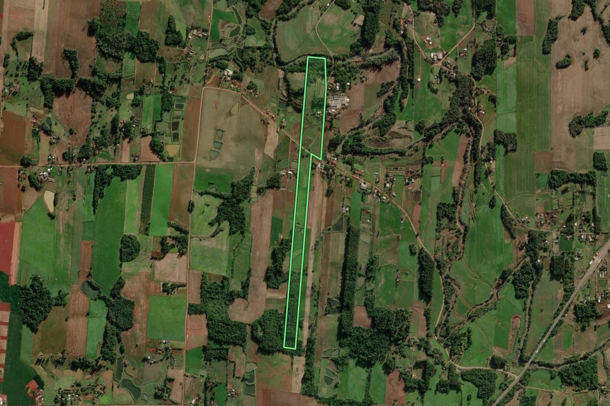 Imagem de satélite do imóvel rural em Cruzeiro do Sul (RS), com o contorno declarado no CAR desenhado por cima.