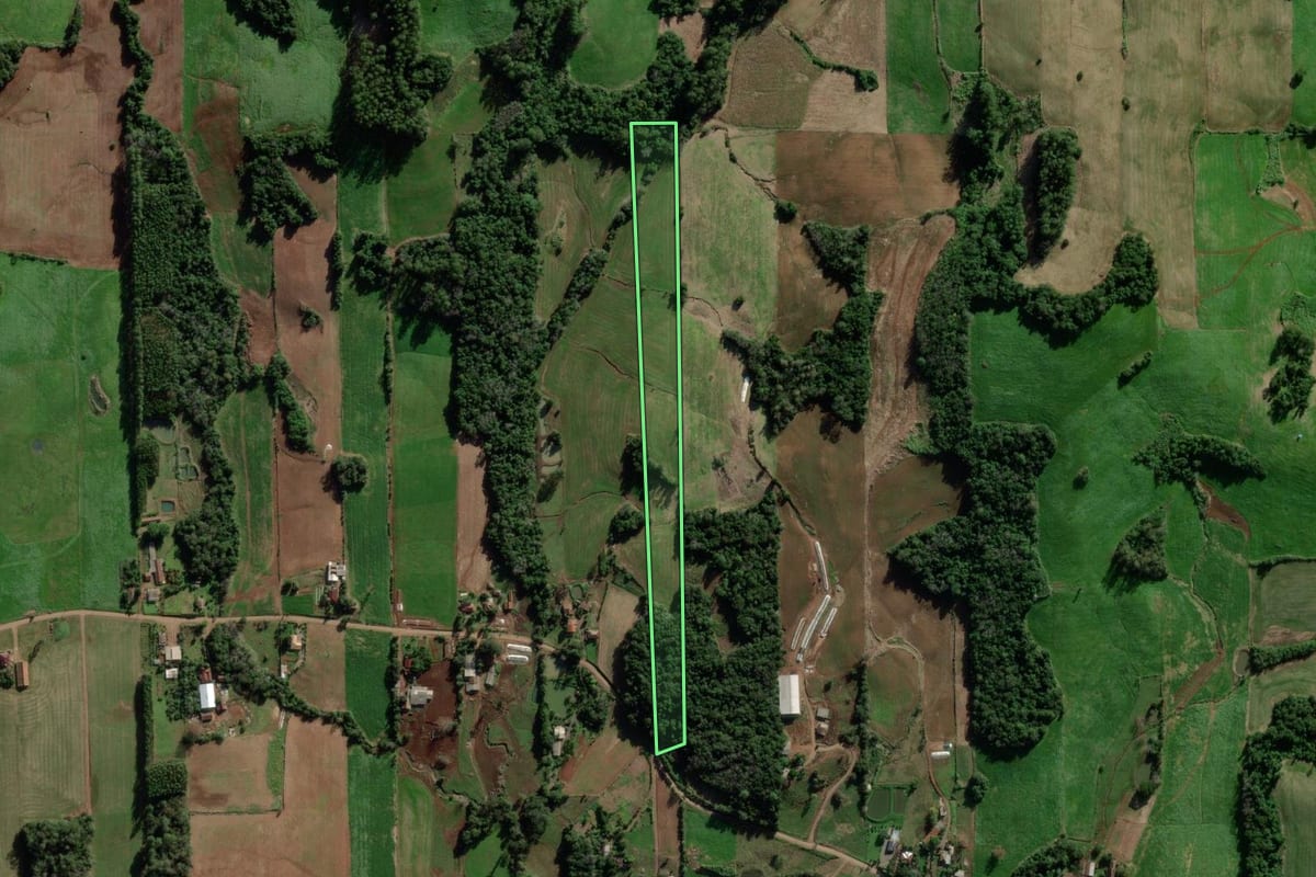 Imagem de satélite do imóvel rural em Cruzeiro do Sul (RS), com o contorno declarado no CAR desenhado por cima.