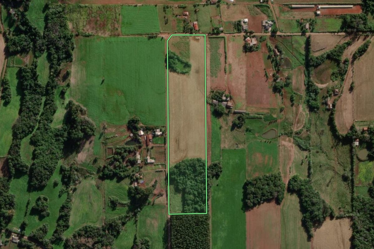 Imagem de satélite do imóvel rural em Cruzeiro do Sul (RS), com o contorno declarado no CAR desenhado por cima.