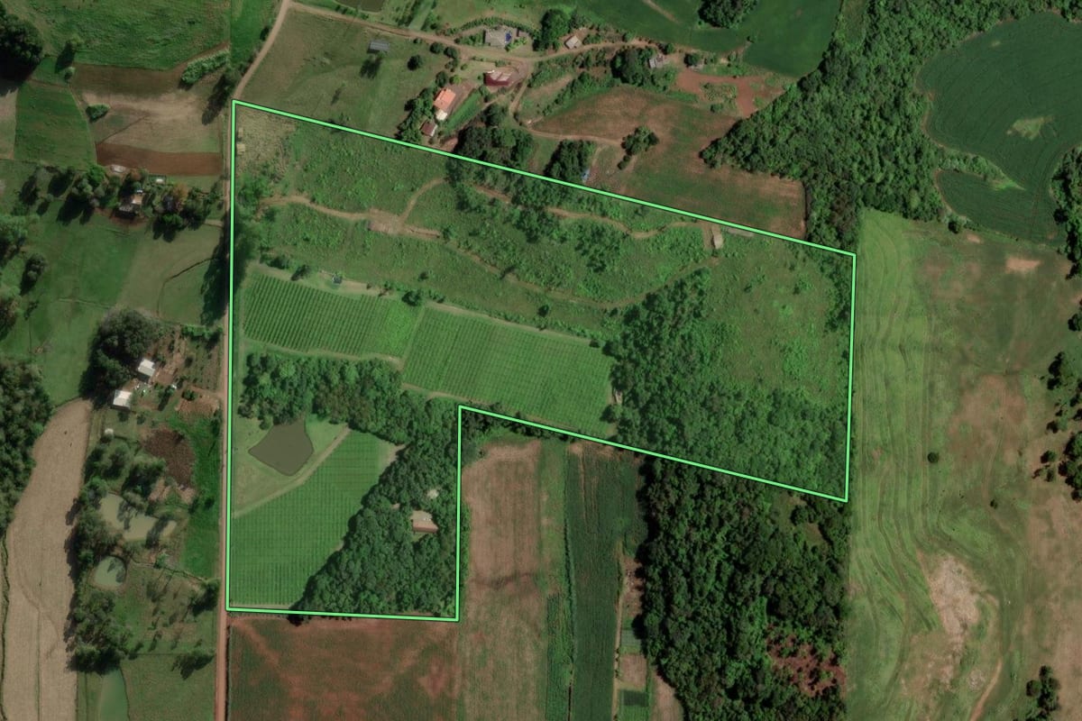 Imagem de satélite do imóvel rural em Cruzeiro do Sul (RS), com o contorno declarado no CAR desenhado por cima.
