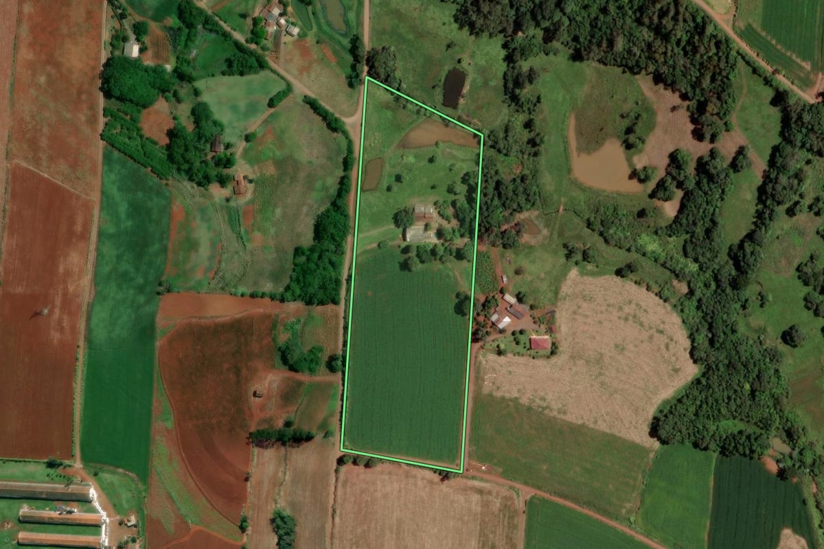 Imagem de satélite do imóvel rural em Cruzeiro do Sul (RS), com o contorno declarado no CAR desenhado por cima.