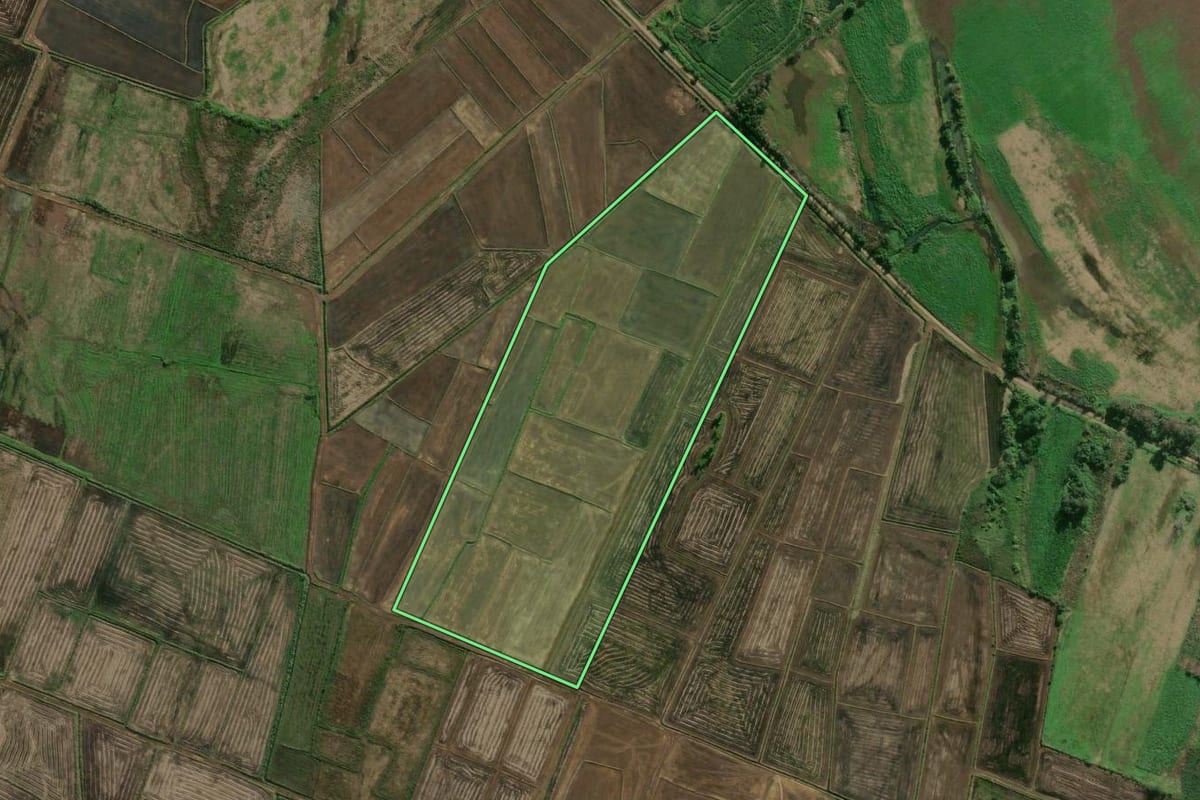 Imagem de satélite do imóvel rural em Cruzeiro do Sul (RS), com o contorno declarado no CAR desenhado por cima.