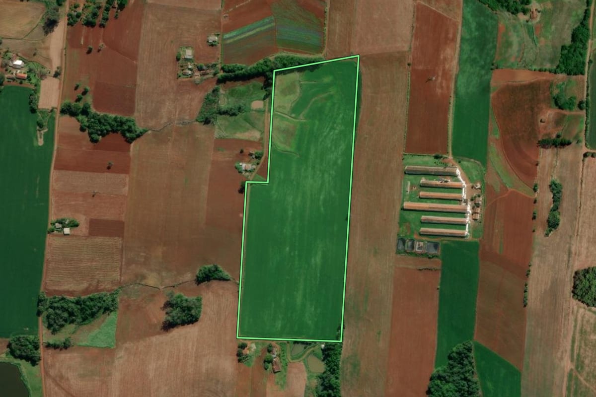 Imagem de satélite do imóvel rural em Cruzeiro do Sul (RS), com o contorno declarado no CAR desenhado por cima.