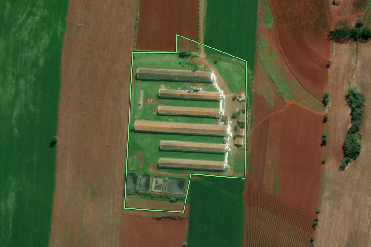 Imagem de satélite do imóvel rural em Cruzeiro do Sul (RS), com o contorno declarado no CAR desenhado por cima.