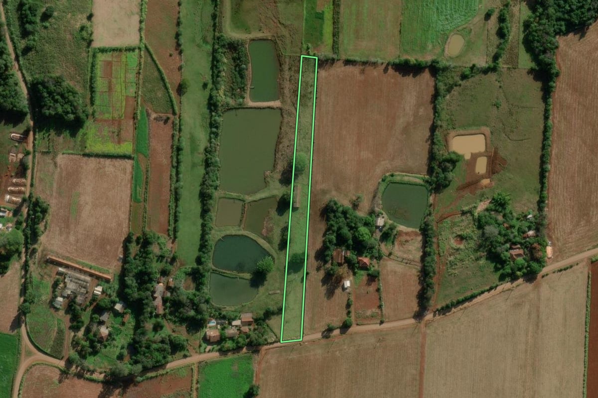 Imagem de satélite do imóvel rural em Cruzeiro do Sul (RS), com o contorno declarado no CAR desenhado por cima.