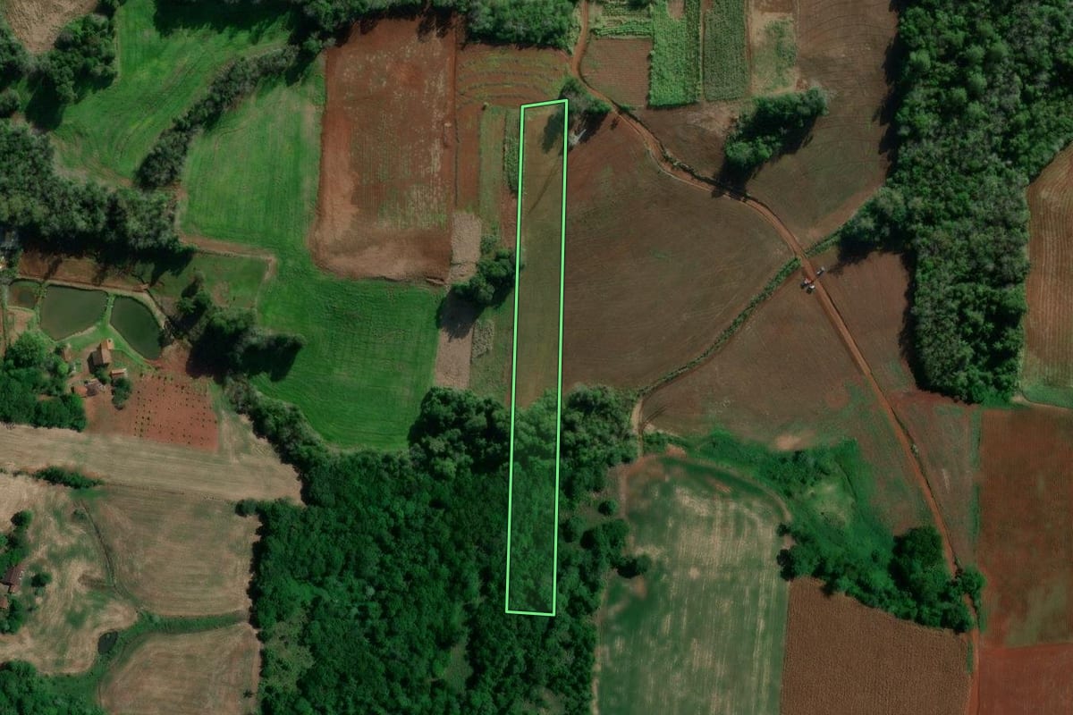 Imagem de satélite do imóvel rural em Cruzeiro do Sul (RS), com o contorno declarado no CAR desenhado por cima.