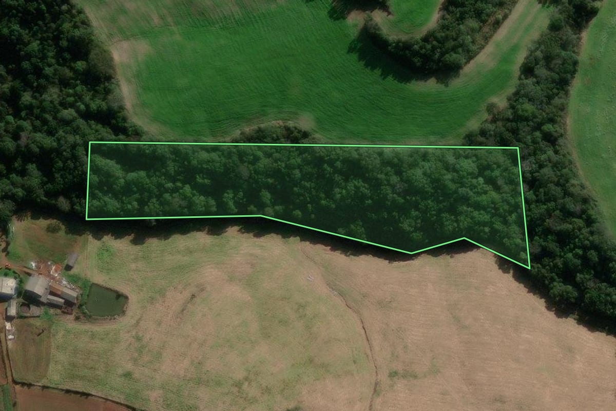 Imagem de satélite do imóvel rural em David Canabarro (RS), com o contorno declarado no CAR desenhado por cima.