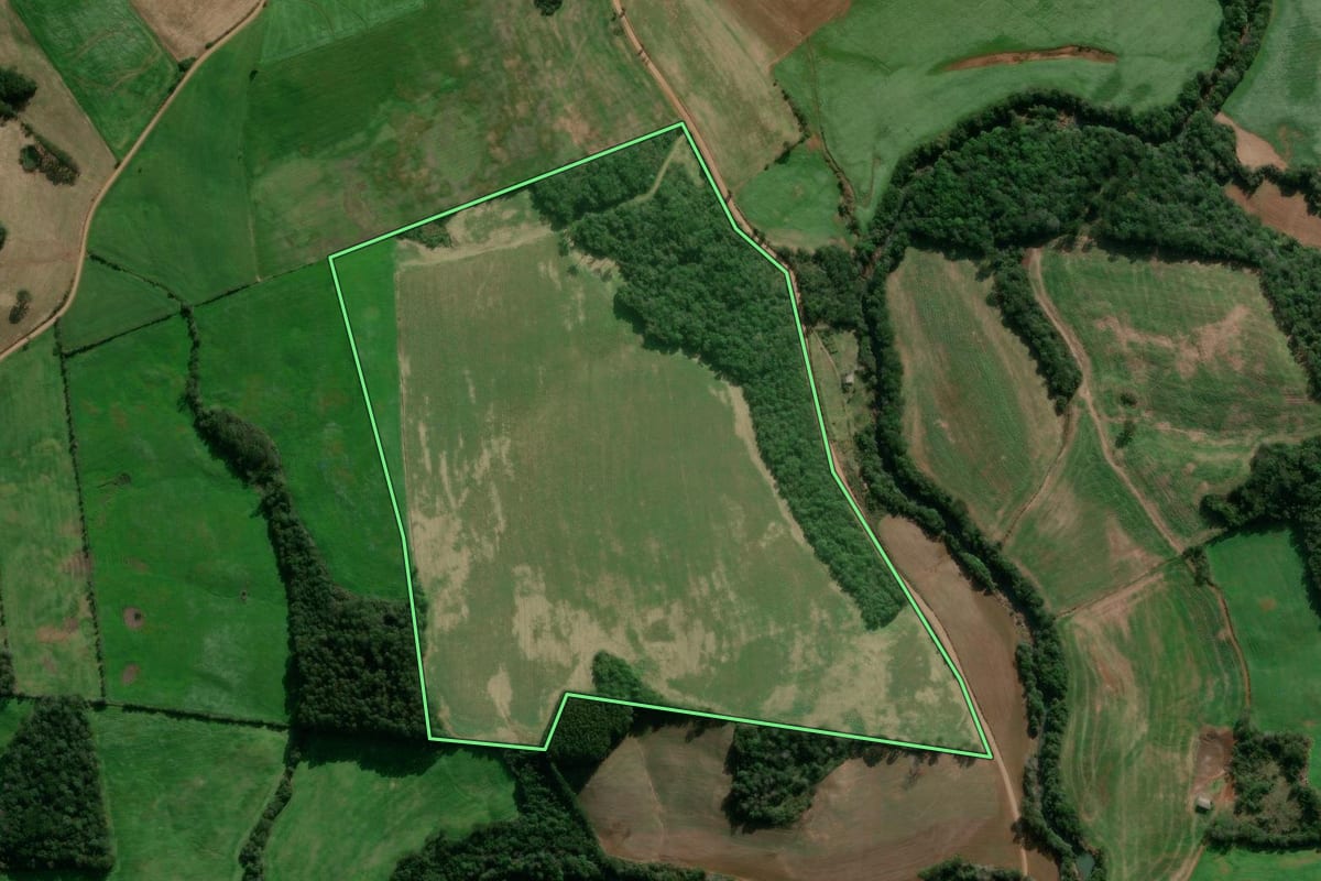 Imagem de satélite do imóvel rural em David Canabarro (RS), com o contorno declarado no CAR desenhado por cima.