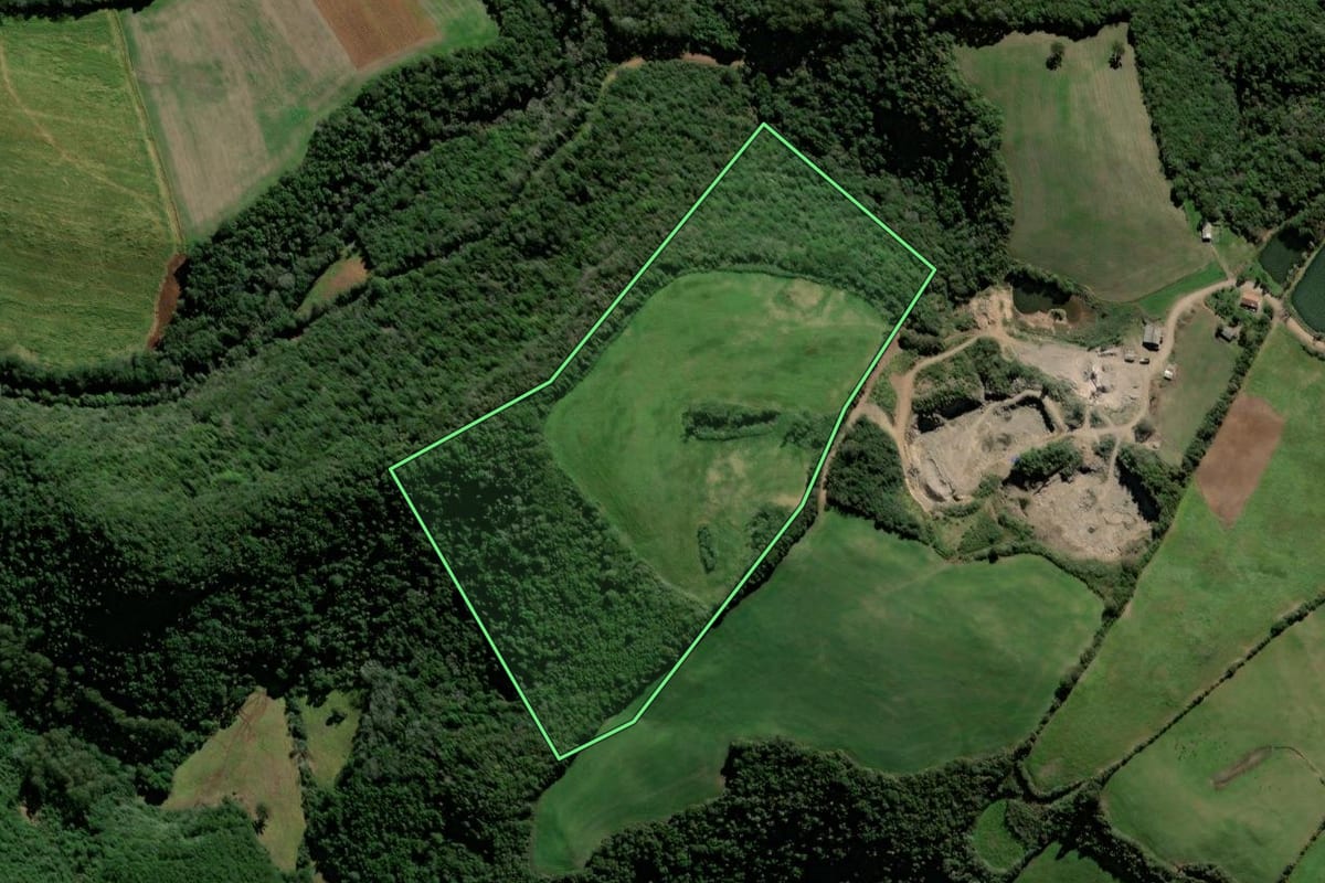 Imagem de satélite do imóvel rural em David Canabarro (RS), com o contorno declarado no CAR desenhado por cima.