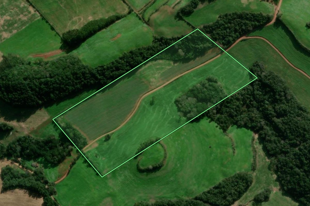 Imagem de satélite do imóvel rural em David Canabarro (RS), com o contorno declarado no CAR desenhado por cima.
