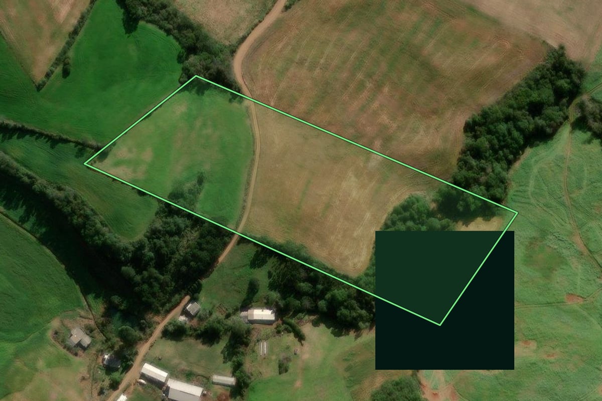 Imagem de satélite do imóvel rural em David Canabarro (RS), com o contorno declarado no CAR desenhado por cima.
