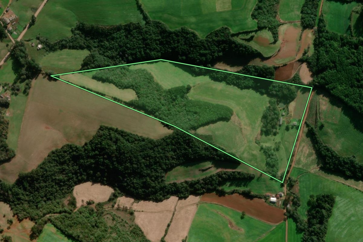 Imagem de satélite do imóvel rural em David Canabarro (RS), com o contorno declarado no CAR desenhado por cima.