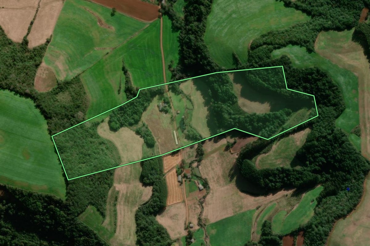 Imagem de satélite do imóvel rural em David Canabarro (RS), com o contorno declarado no CAR desenhado por cima.