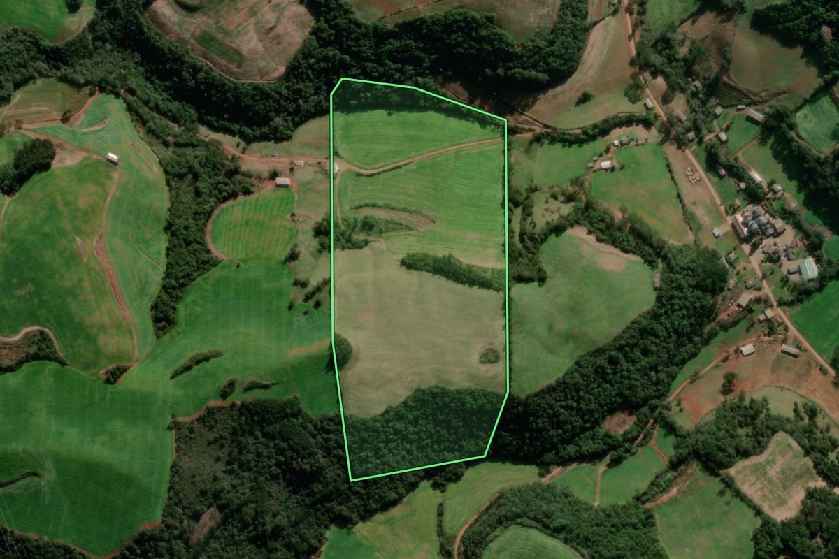 Imagem de satélite do imóvel rural em David Canabarro (RS), com o contorno declarado no CAR desenhado por cima.