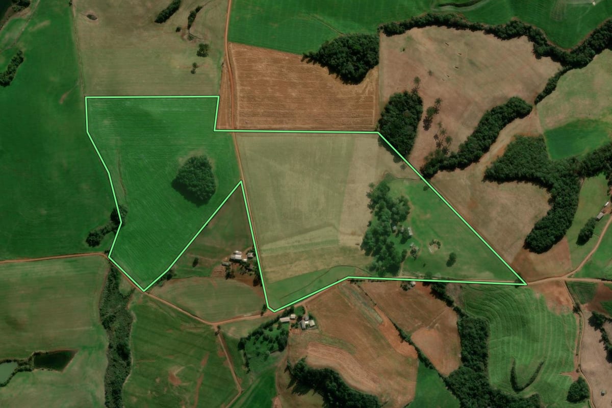 Imagem de satélite do imóvel rural em David Canabarro (RS), com o contorno declarado no CAR desenhado por cima.