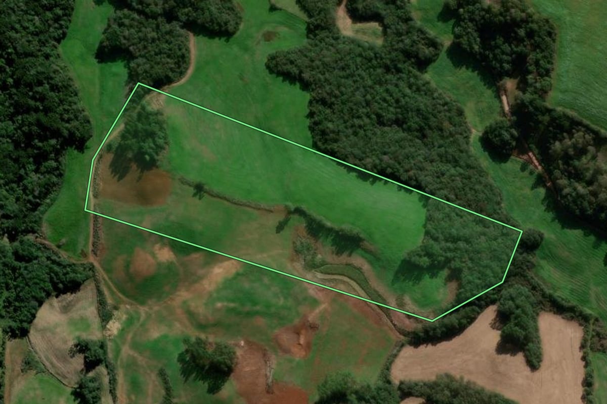 Imagem de satélite do imóvel rural em David Canabarro (RS), com o contorno declarado no CAR desenhado por cima.