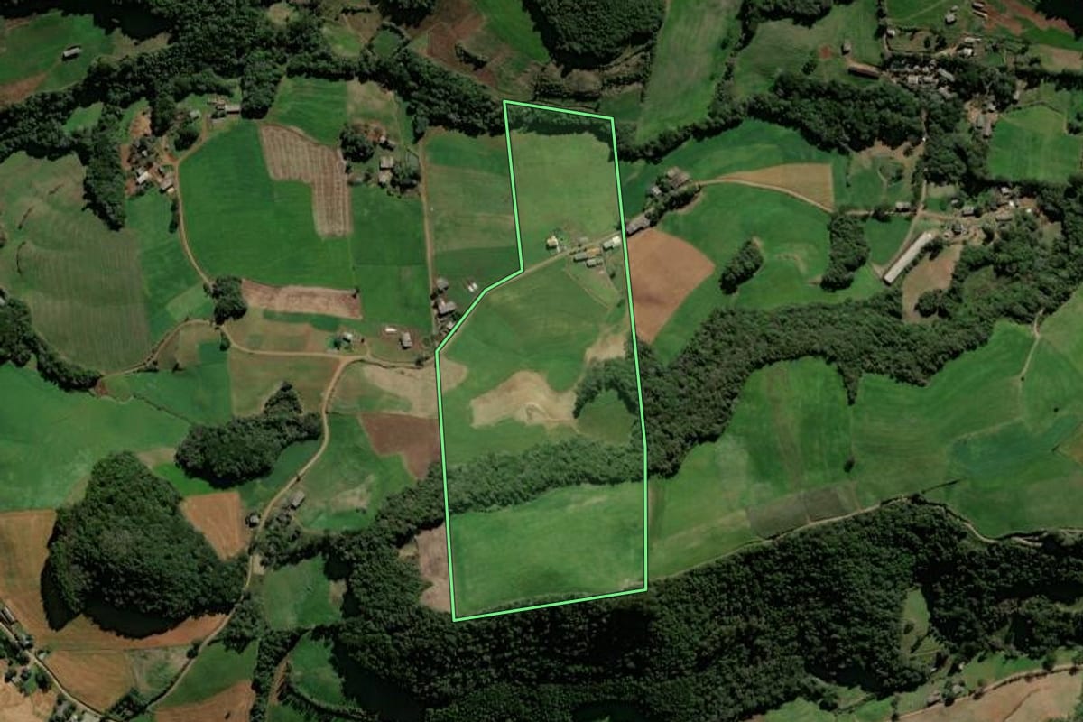 Imagem de satélite do imóvel rural em David Canabarro (RS), com o contorno declarado no CAR desenhado por cima.