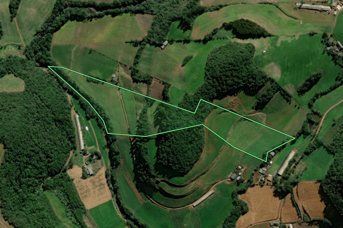 Imagem de satélite do imóvel rural em David Canabarro (RS), com o contorno declarado no CAR desenhado por cima.