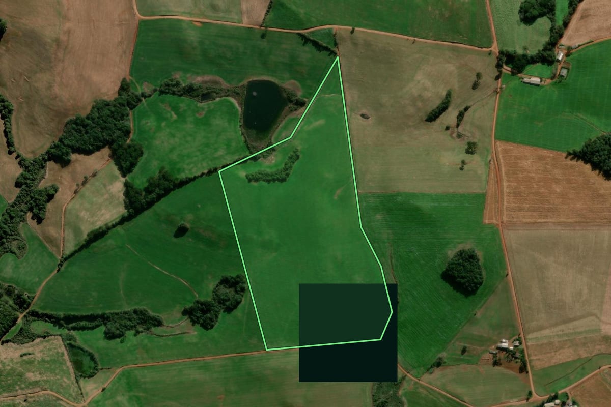 Imagem de satélite do imóvel rural em David Canabarro (RS), com o contorno declarado no CAR desenhado por cima.