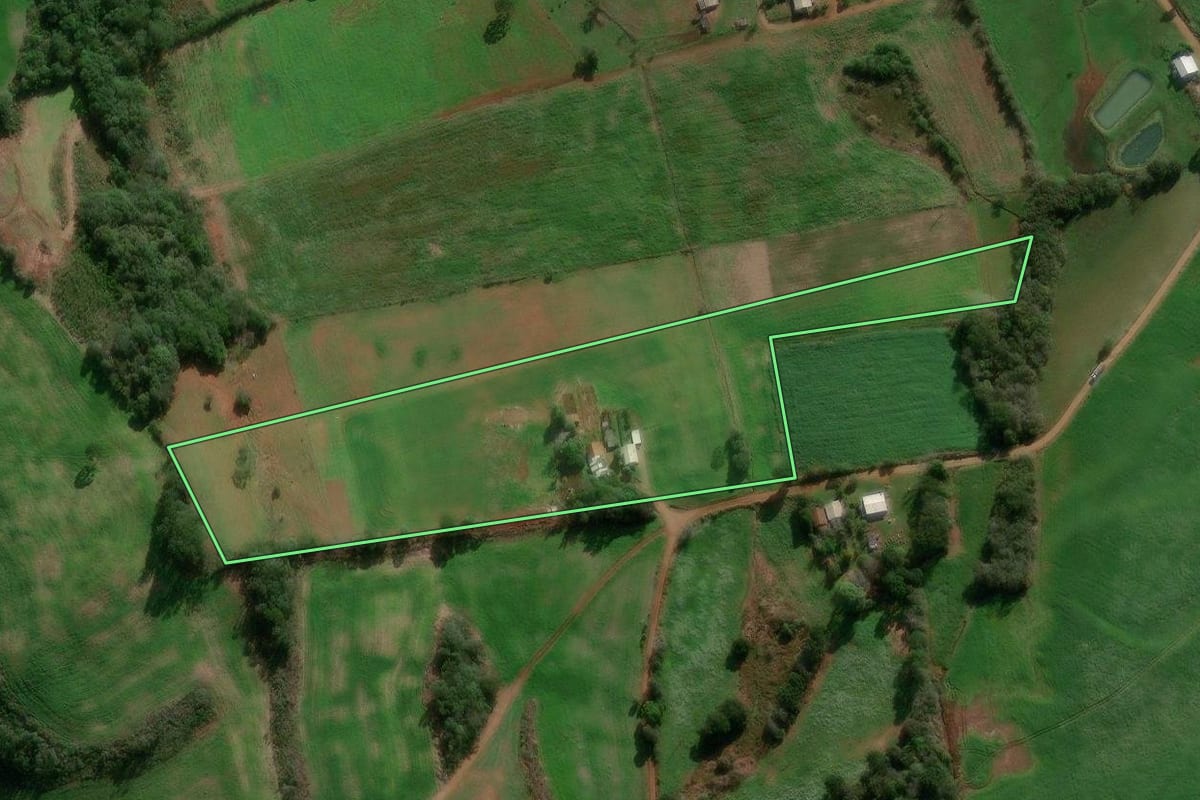 Imagem de satélite do imóvel rural em David Canabarro (RS), com o contorno declarado no CAR desenhado por cima.