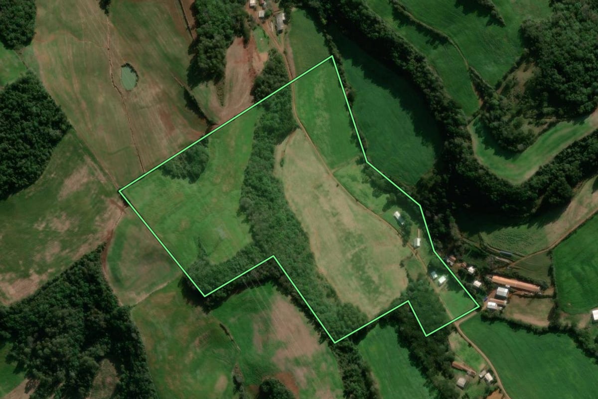 Imagem de satélite do imóvel rural em David Canabarro (RS), com o contorno declarado no CAR desenhado por cima.