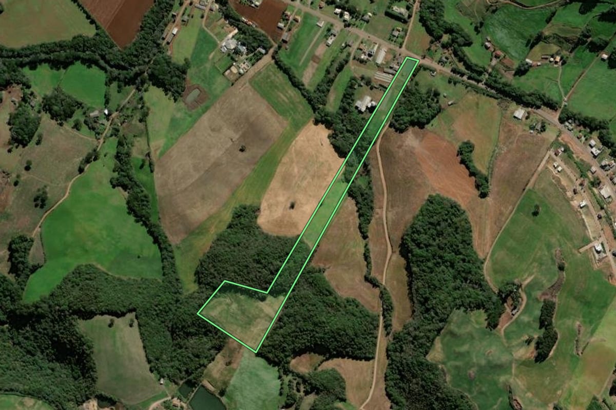 Imagem de satélite do imóvel rural em David Canabarro (RS), com o contorno declarado no CAR desenhado por cima.