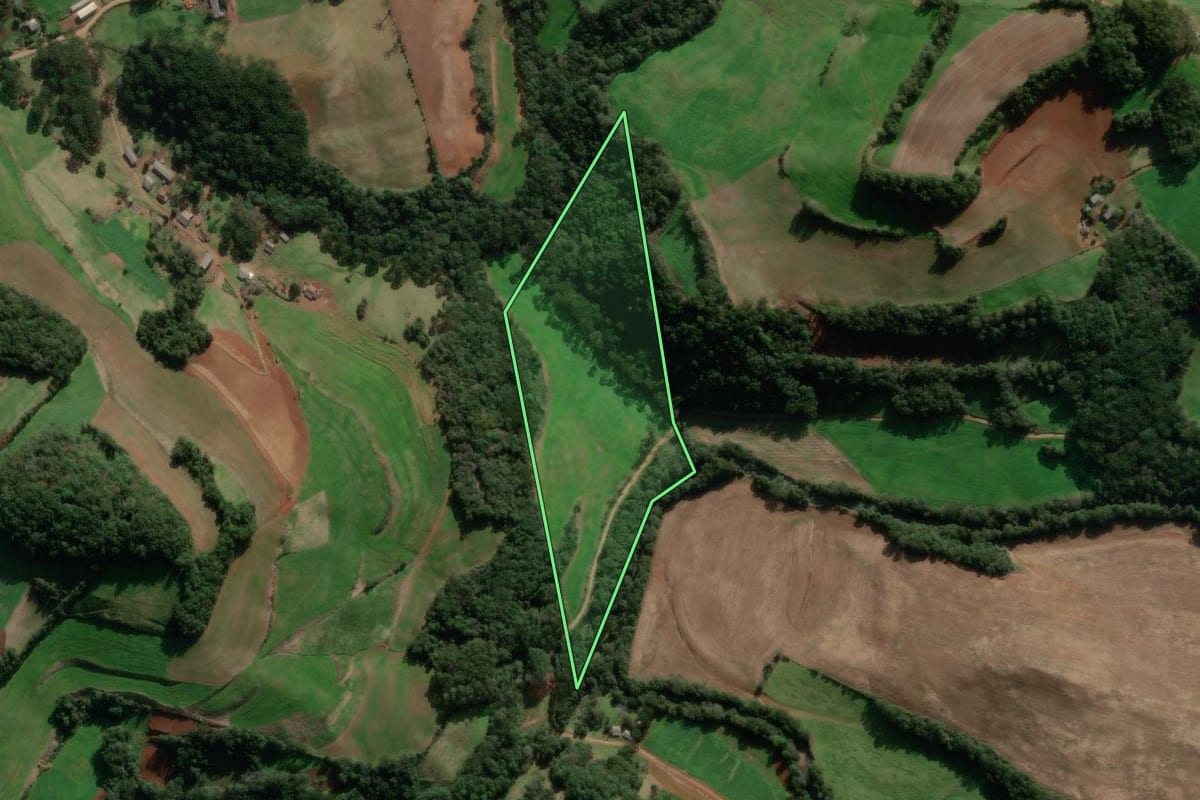 Imagem de satélite do imóvel rural em David Canabarro (RS), com o contorno declarado no CAR desenhado por cima.