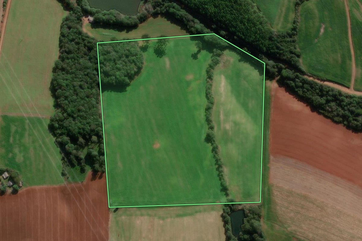 Imagem de satélite do imóvel rural em David Canabarro (RS), com o contorno declarado no CAR desenhado por cima.