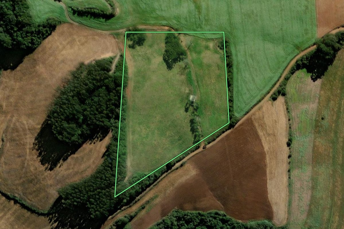 Imagem de satélite do imóvel rural em David Canabarro (RS), com o contorno declarado no CAR desenhado por cima.