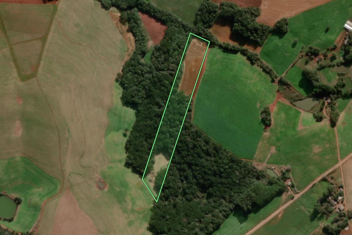 Imagem de satélite do imóvel rural em David Canabarro (RS), com o contorno declarado no CAR desenhado por cima.
