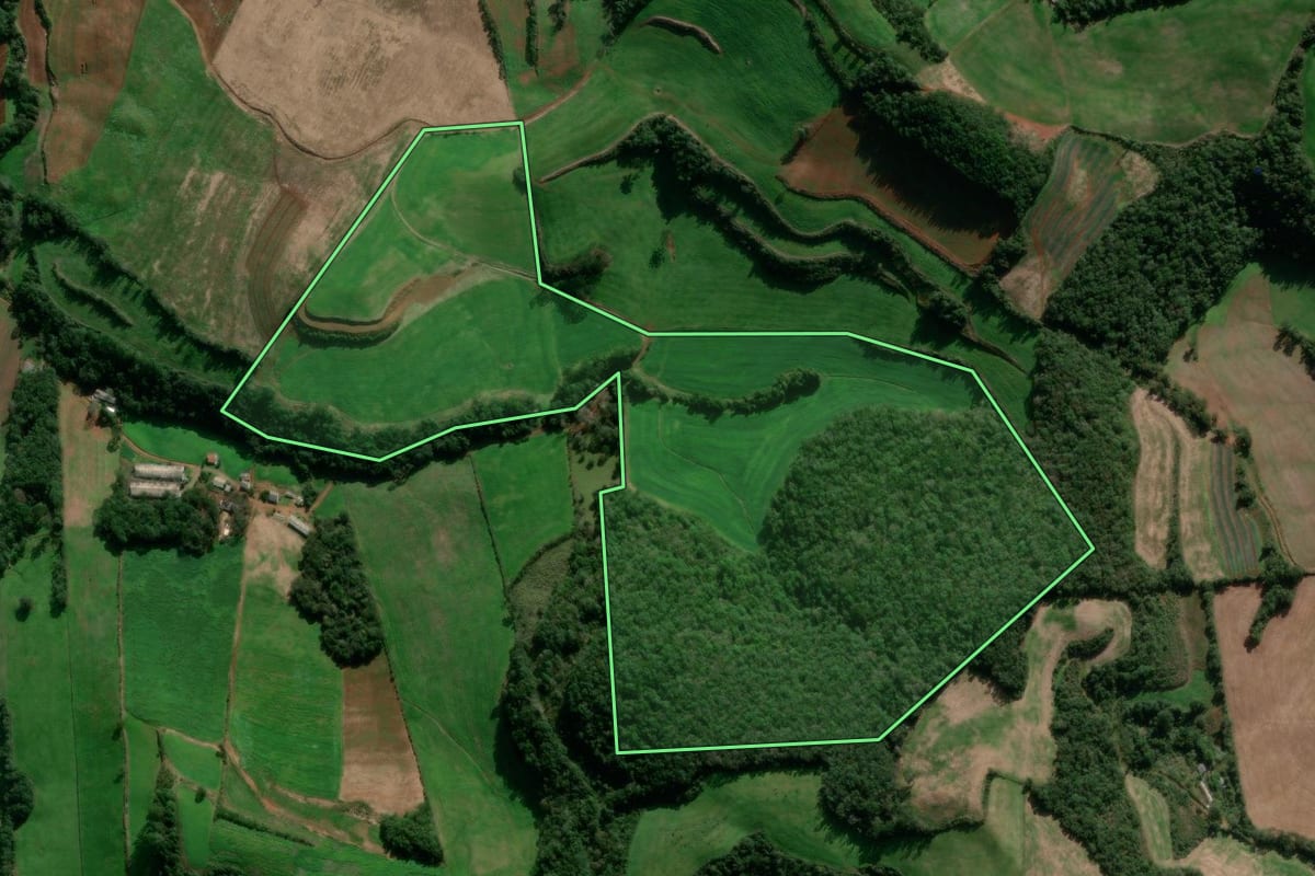Imagem de satélite do imóvel rural em David Canabarro (RS), com o contorno declarado no CAR desenhado por cima.