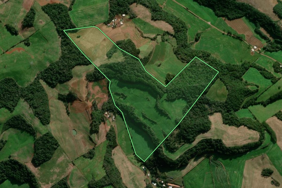 Imagem de satélite do imóvel rural em David Canabarro (RS), com o contorno declarado no CAR desenhado por cima.