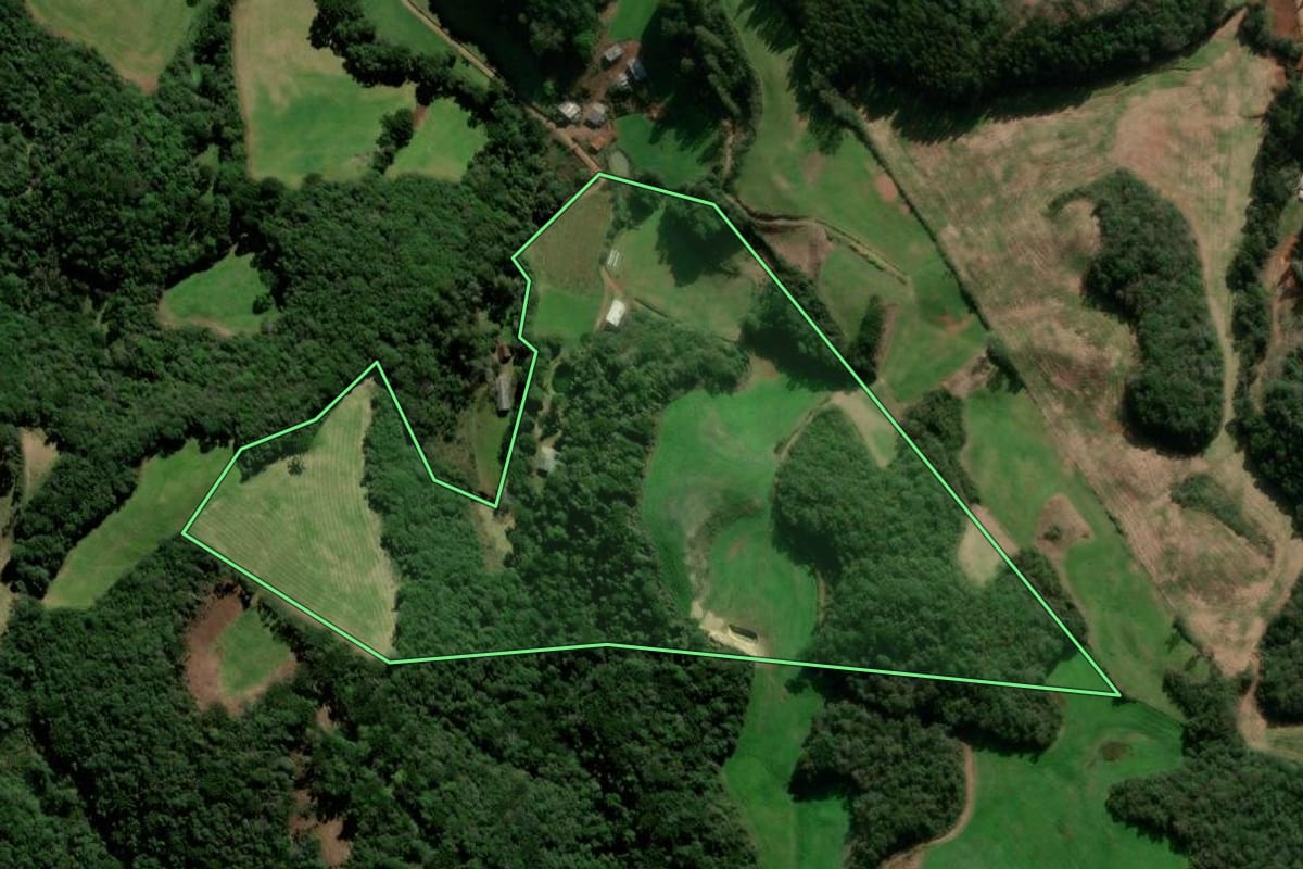 Imagem de satélite do imóvel rural em David Canabarro (RS), com o contorno declarado no CAR desenhado por cima.