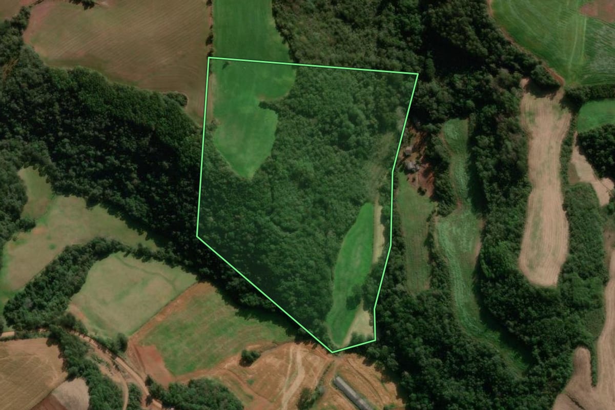 Imagem de satélite do imóvel rural em David Canabarro (RS), com o contorno declarado no CAR desenhado por cima.