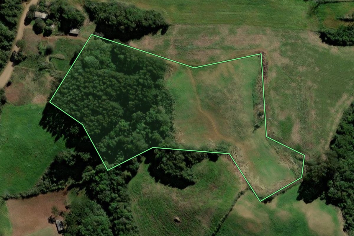 Imagem de satélite do imóvel rural em David Canabarro (RS), com o contorno declarado no CAR desenhado por cima.